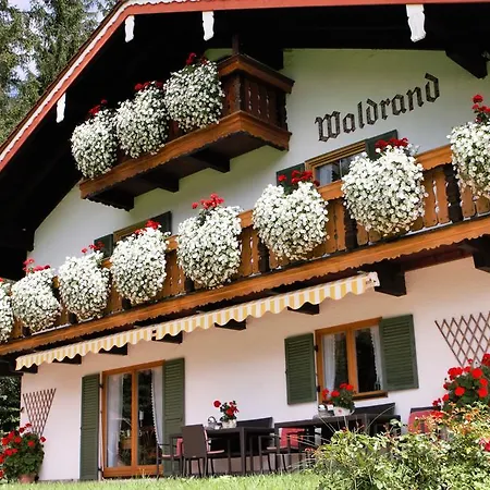 Am Waldrand *