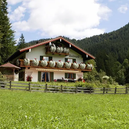 Am Waldrand