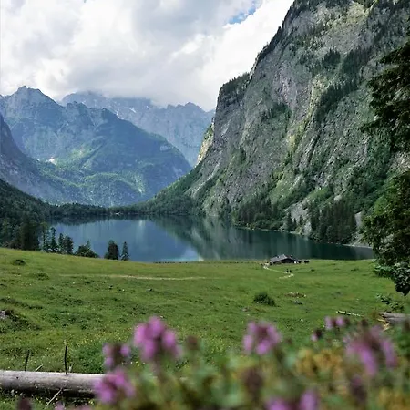 Am Waldrand
