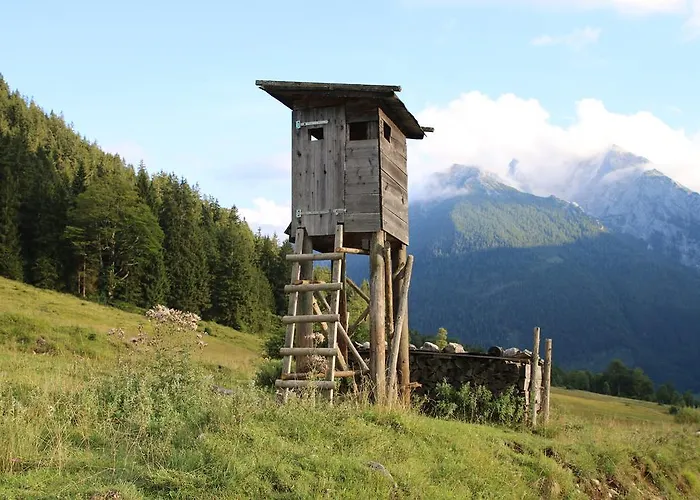 Am Waldrand Penzion