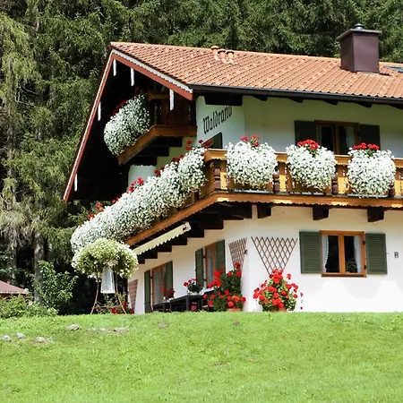 Am Waldrand 3*