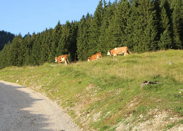Am Waldrand 람사우
