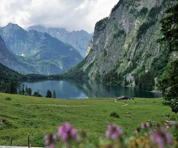 Am Waldrand